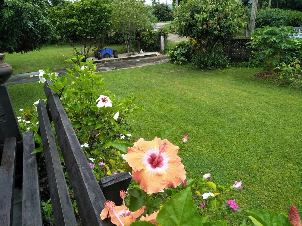 Oui Kaew Homestay Phayao Esterno foto
